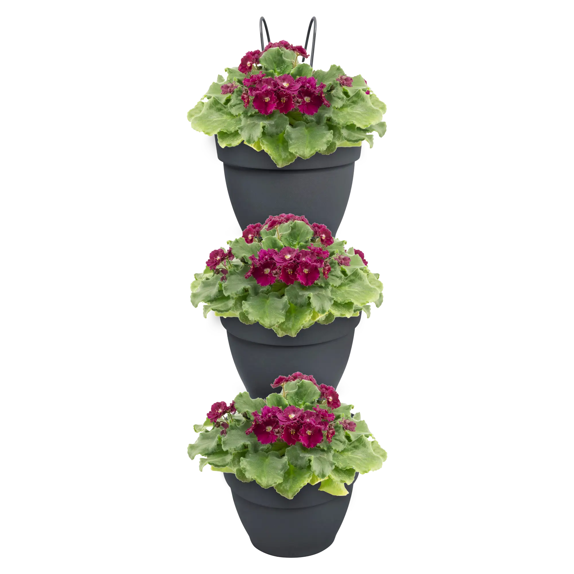 Elho Vibia Campana Forêt Vertical 21 – Pot de fleurs pour balcon & extérieur lot de 3
