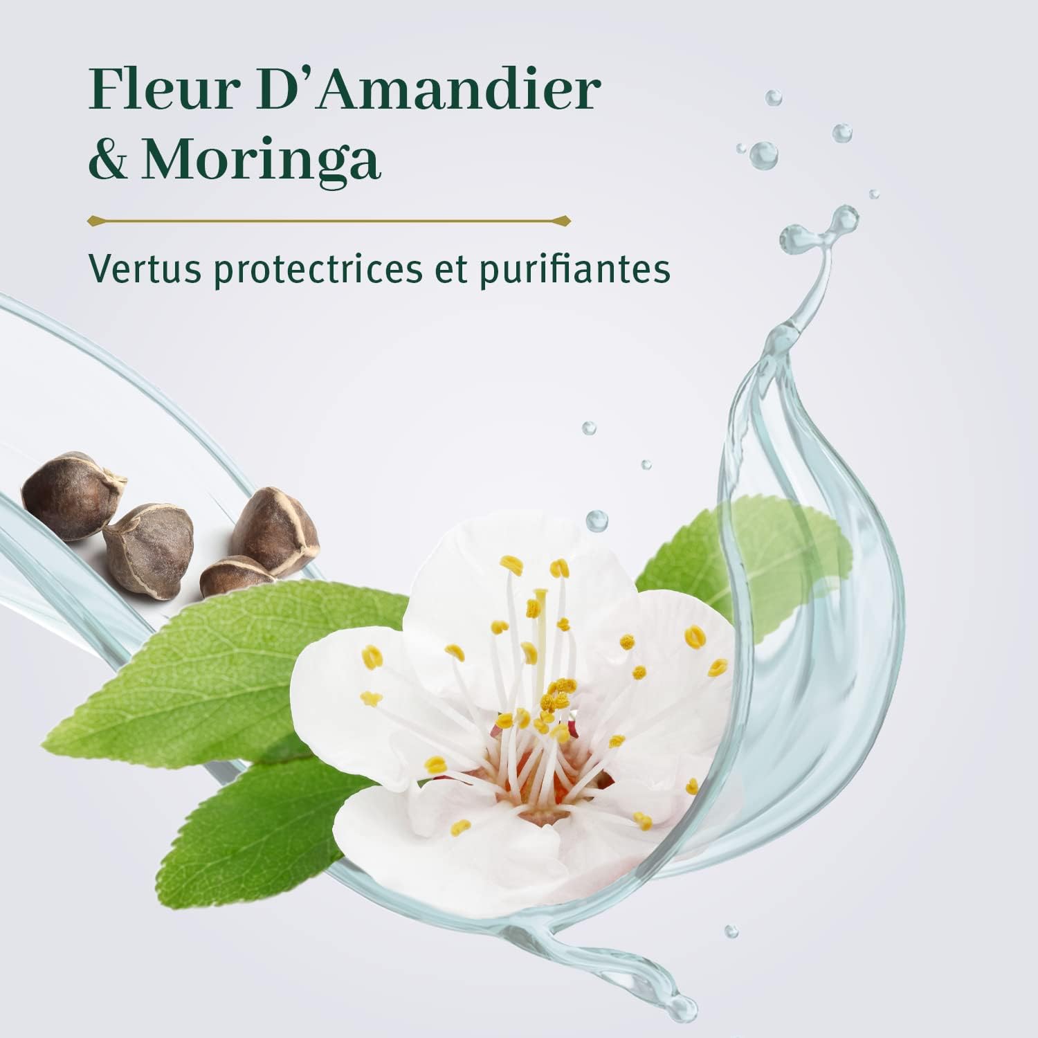 LE PETIT OLIVIER - Gel Nettoyant Détox & Anti-Pollution - Fleur DAmandier & Moringa - Nettoie & Purifie - Tous Types De Peau