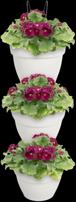 Elho Vibia Campana Forêt Vertical 21 – Pot de fleurs pour balcon et extérieur blanc x3