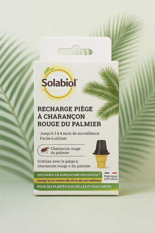 Recharge Piège Charonçon Rouge du Palmier – Agriculture Bio – Solabiol