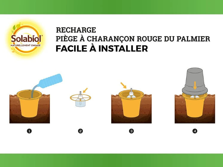 Recharge Piège Charonçon Rouge du Palmier – Agriculture Bio – Solabiol